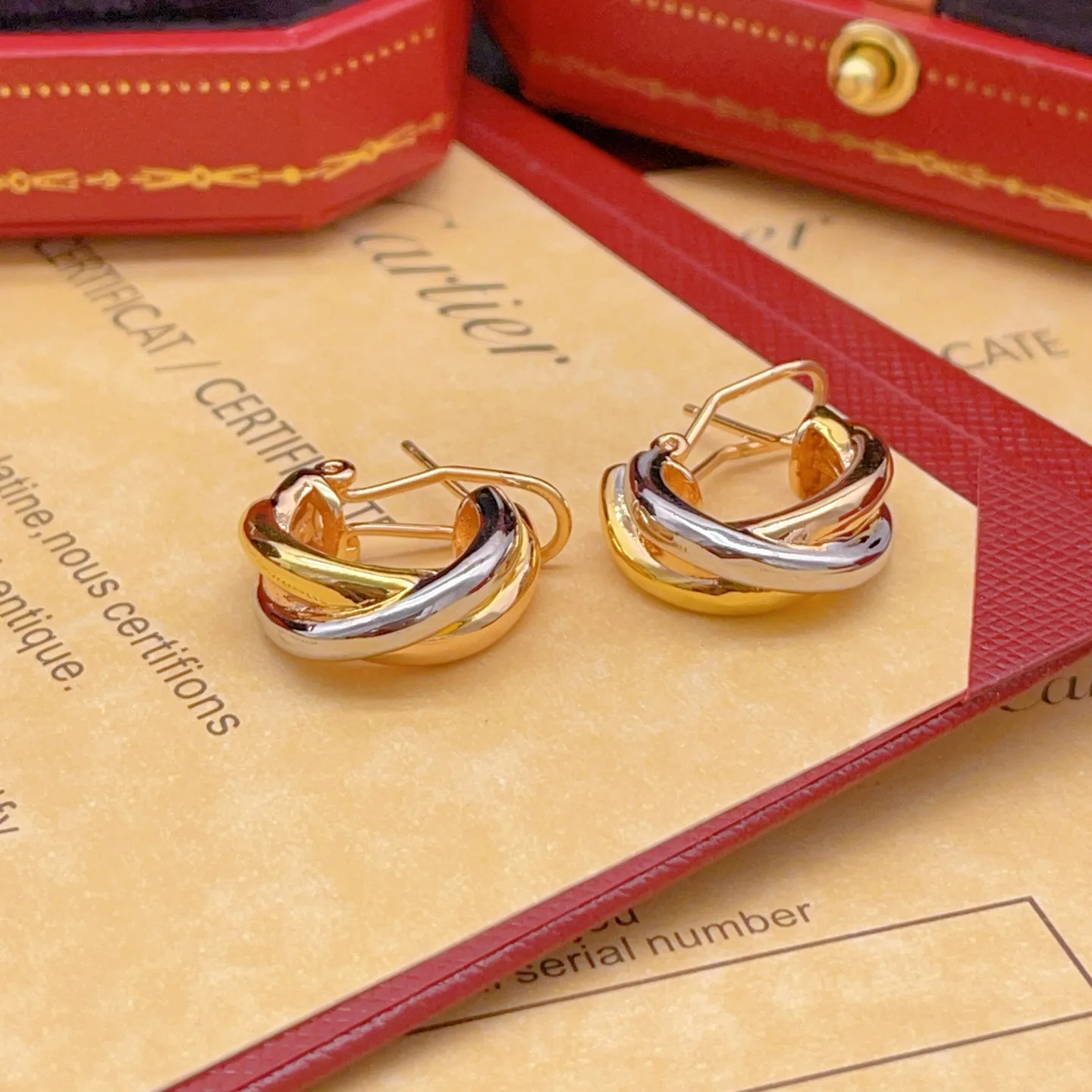 Cartier Earrings