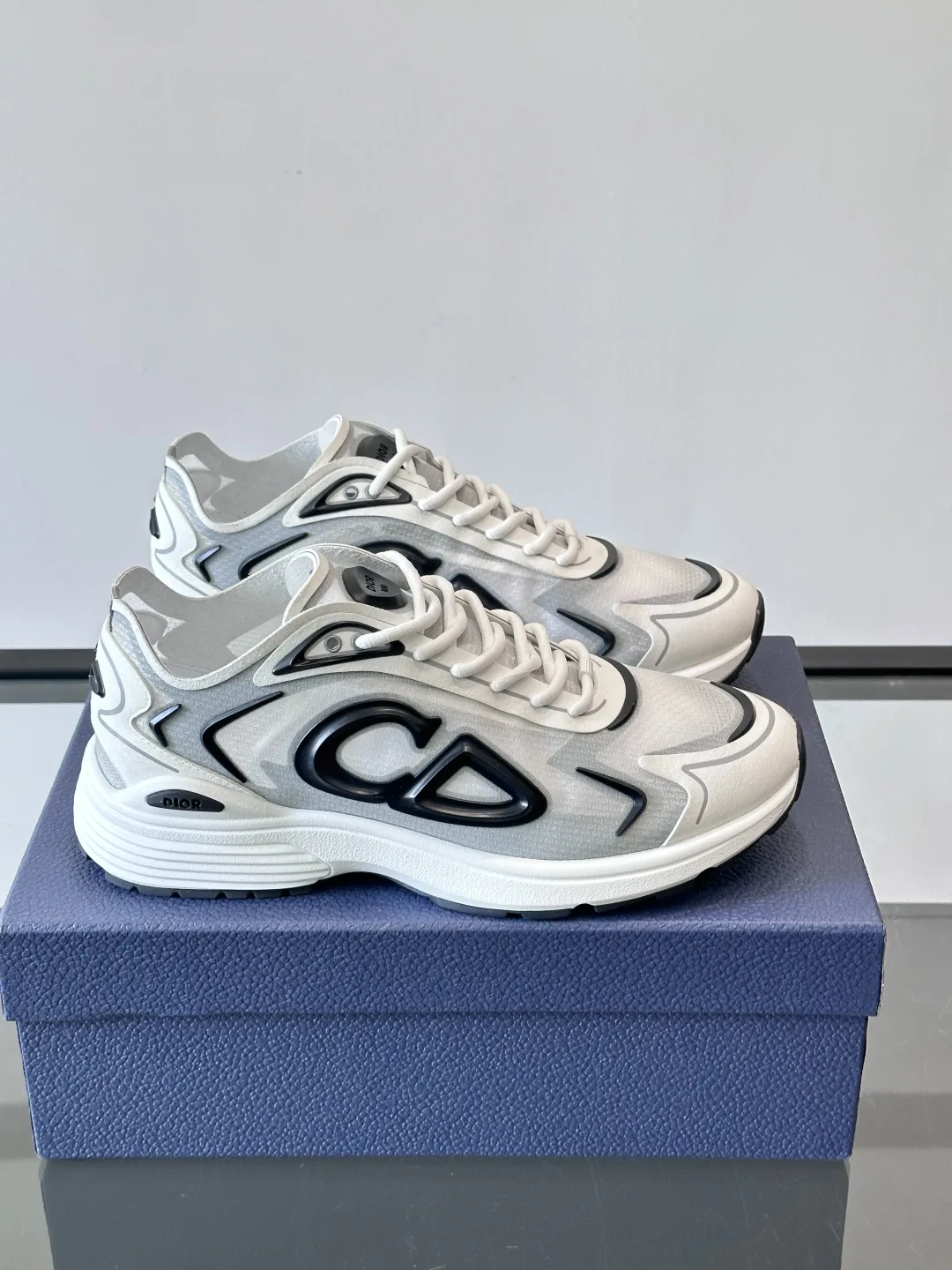 Dior Sneakers