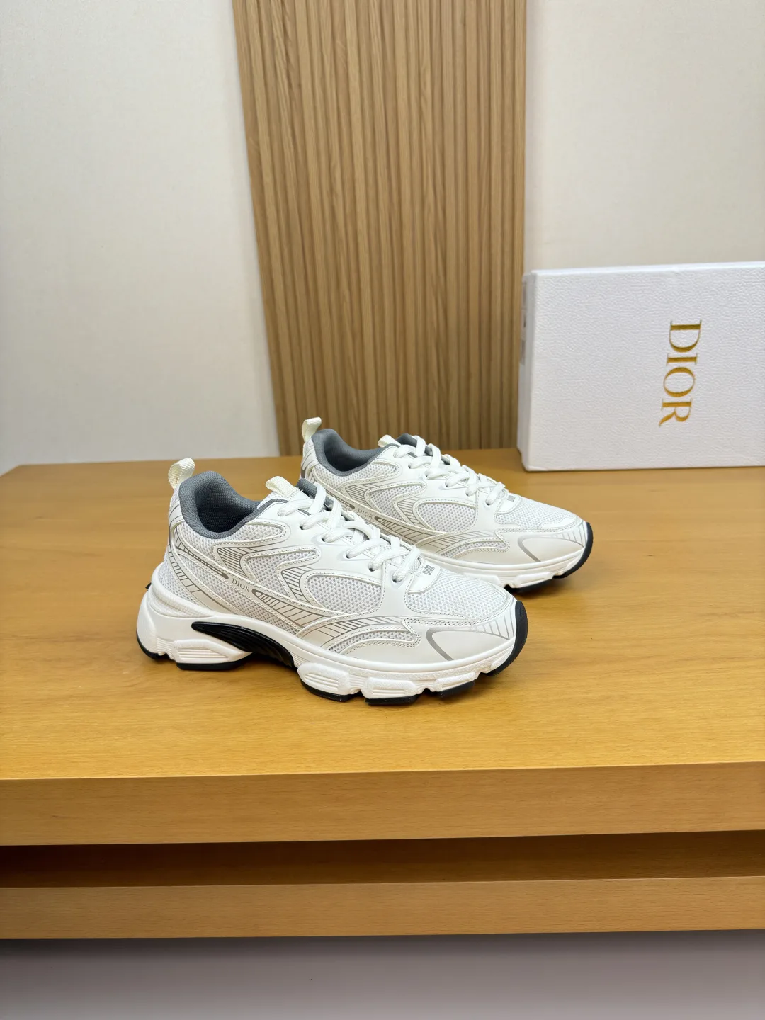 Dior Sneakers