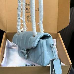 Coach Chain Bag