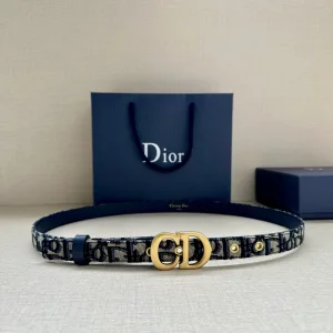 Dior Dress