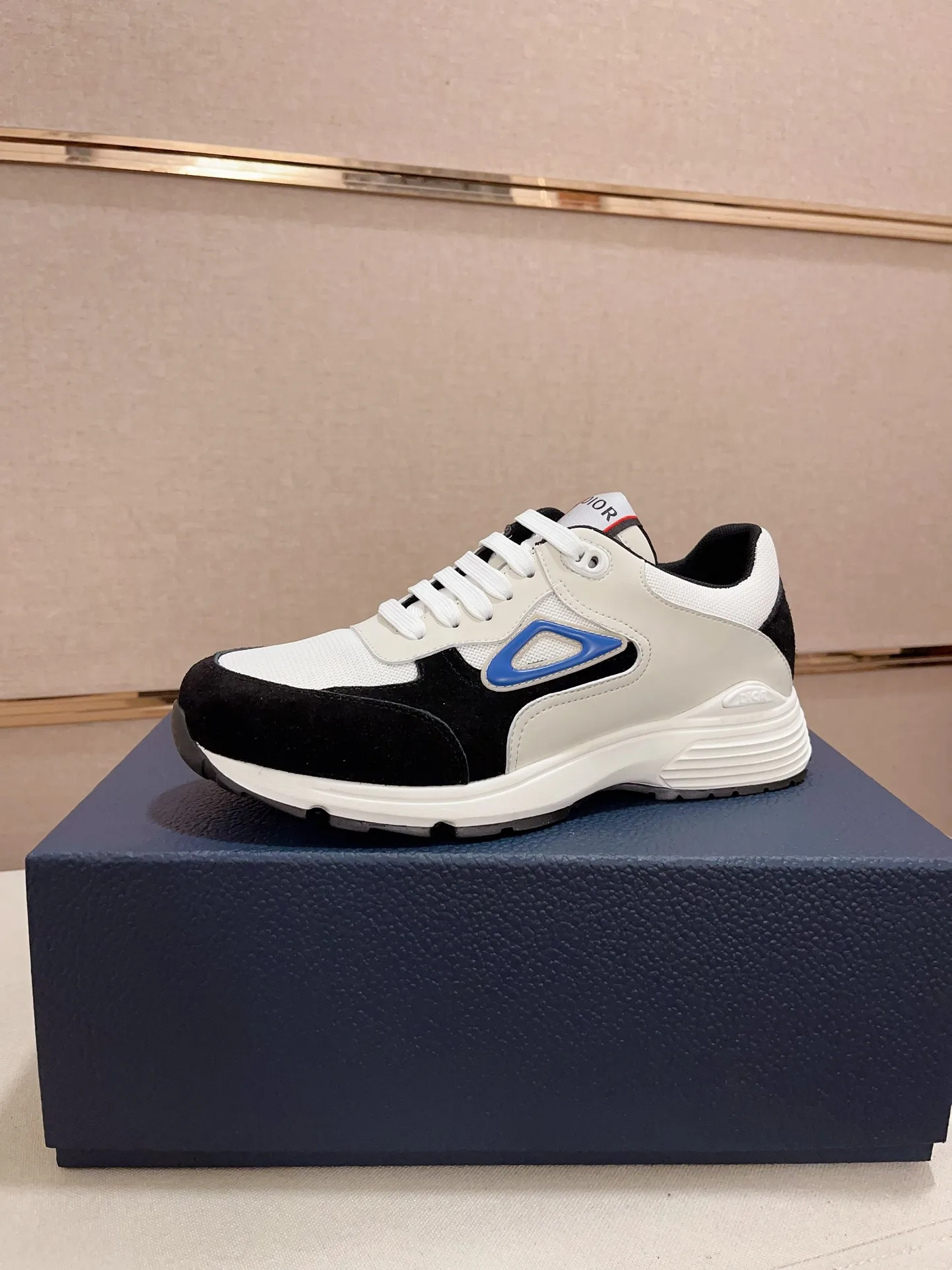 Dior Sneakers