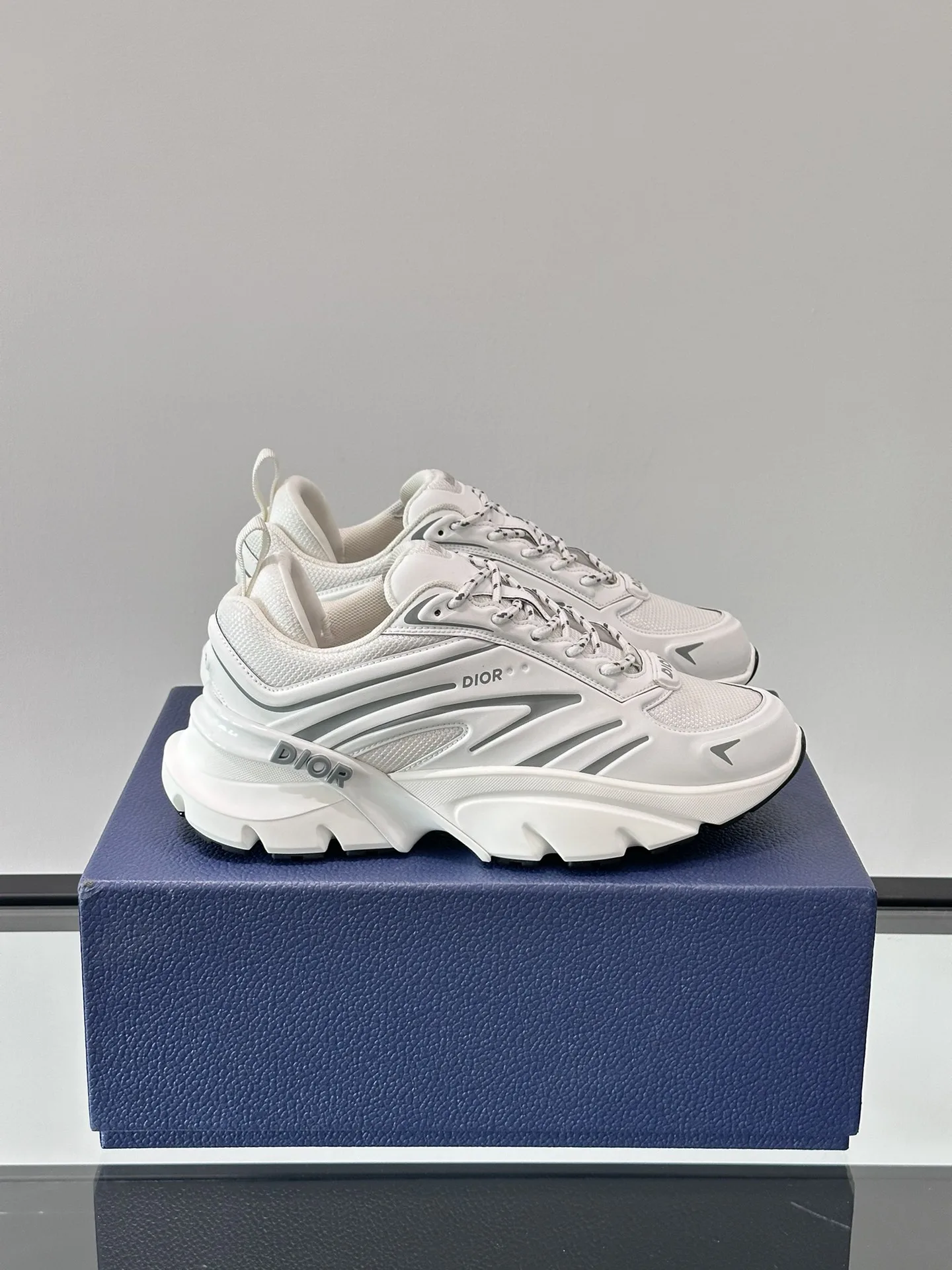 Dior Sneakers