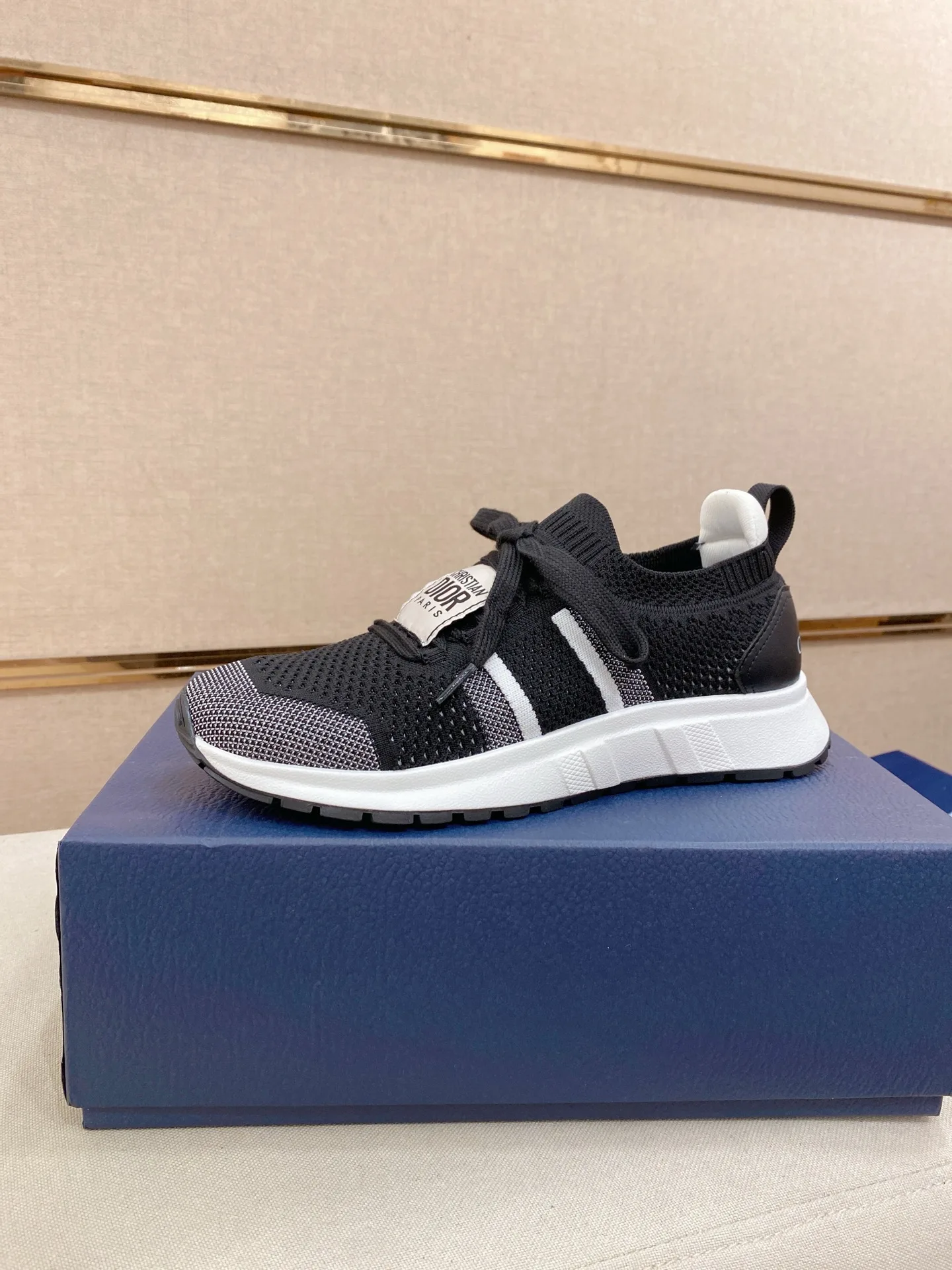 Dior Sneakers