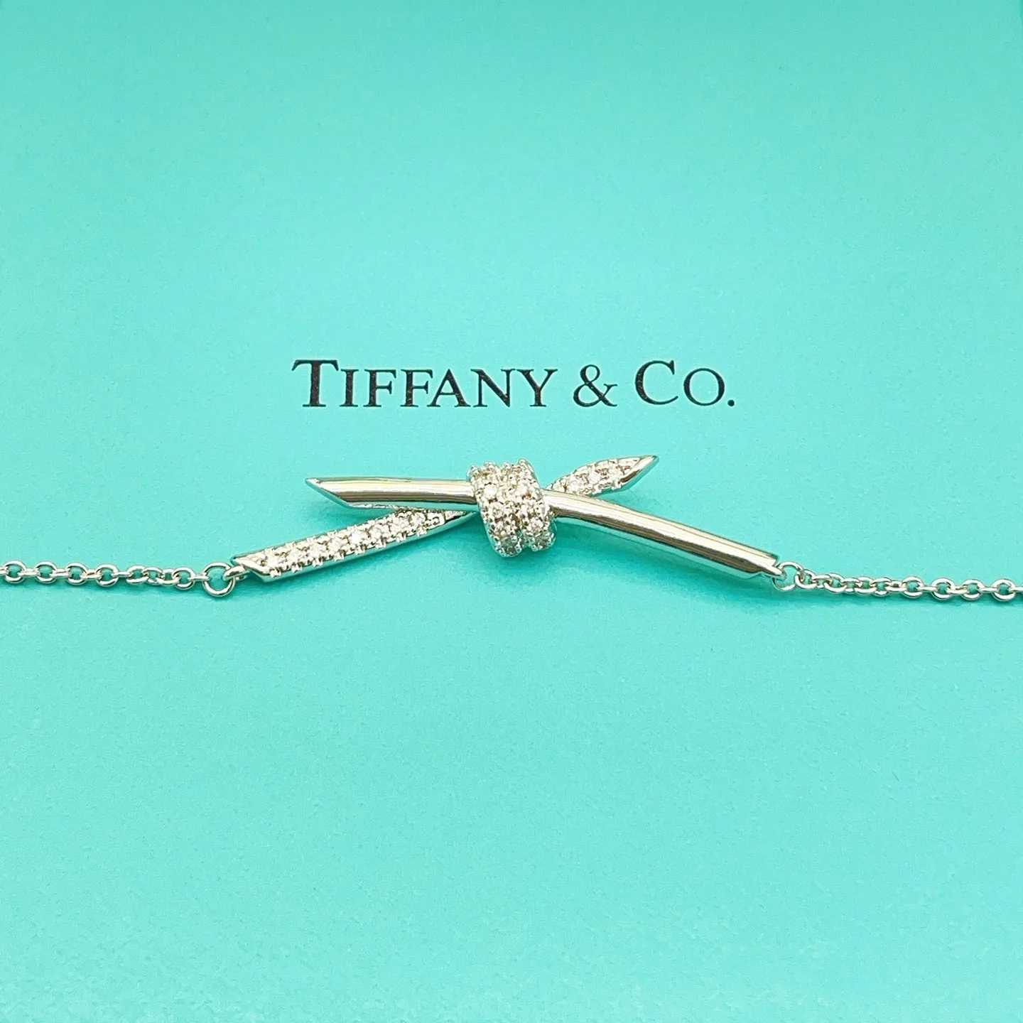 Tiffany Necklace