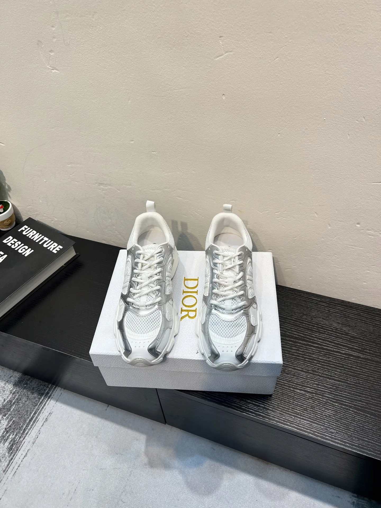 Dior Sneakers