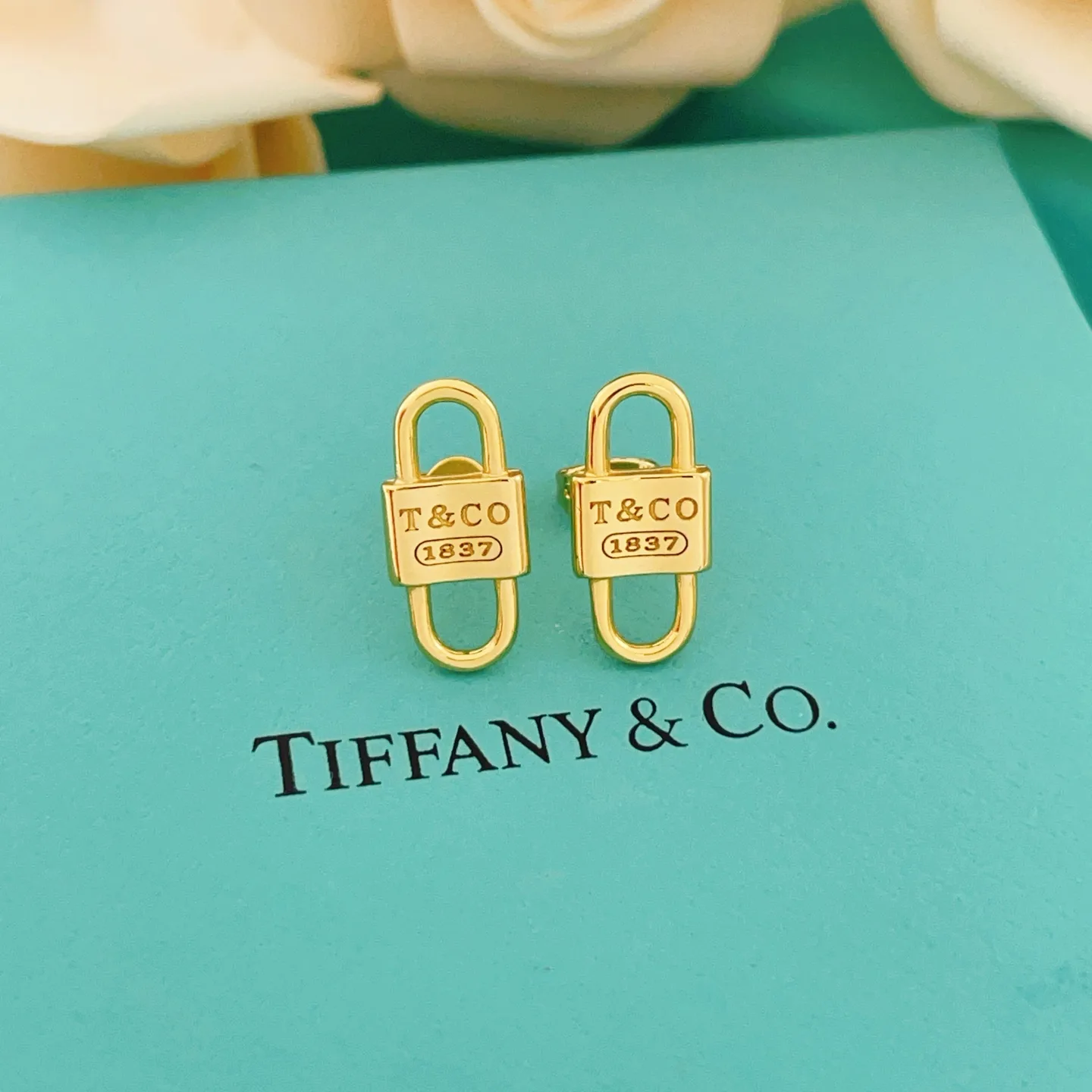 Tiffany Earrings