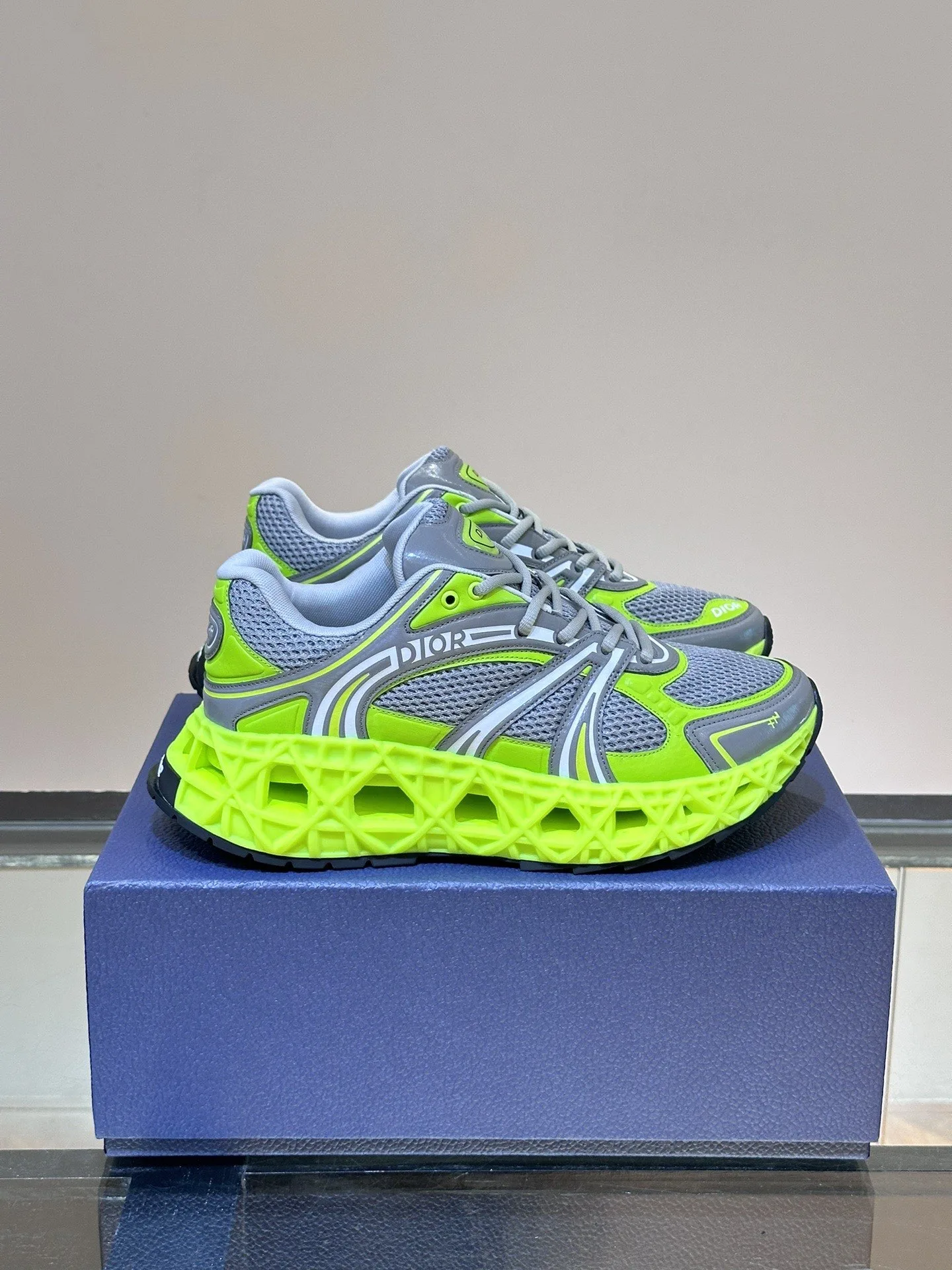 Dior Sneakers