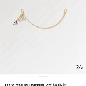 Louis Vuitton Chain Bag