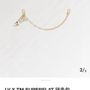 Louis Vuitton Chain Bag