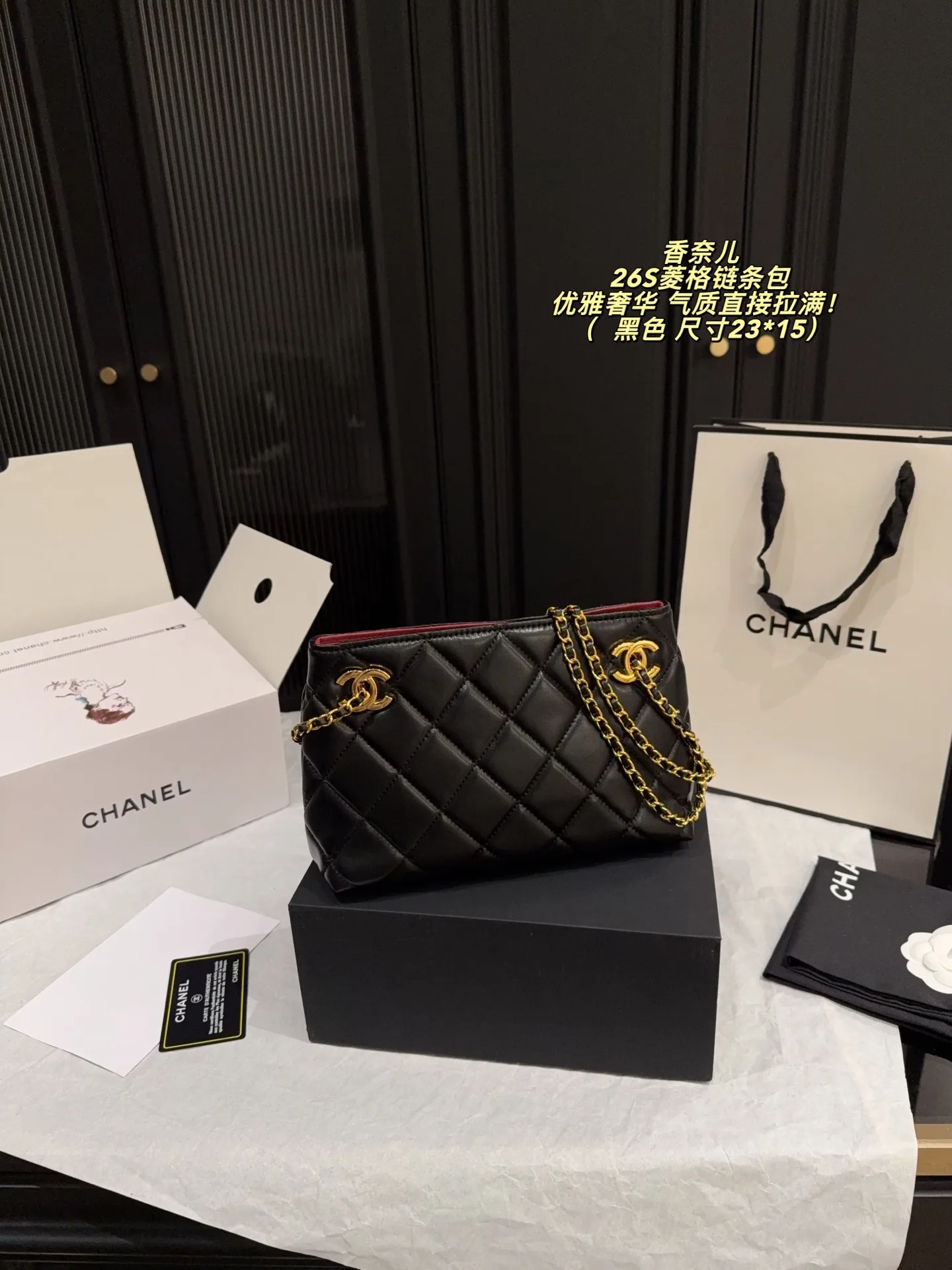 Chanel Chain Bag