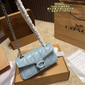 Coach Chain Bag