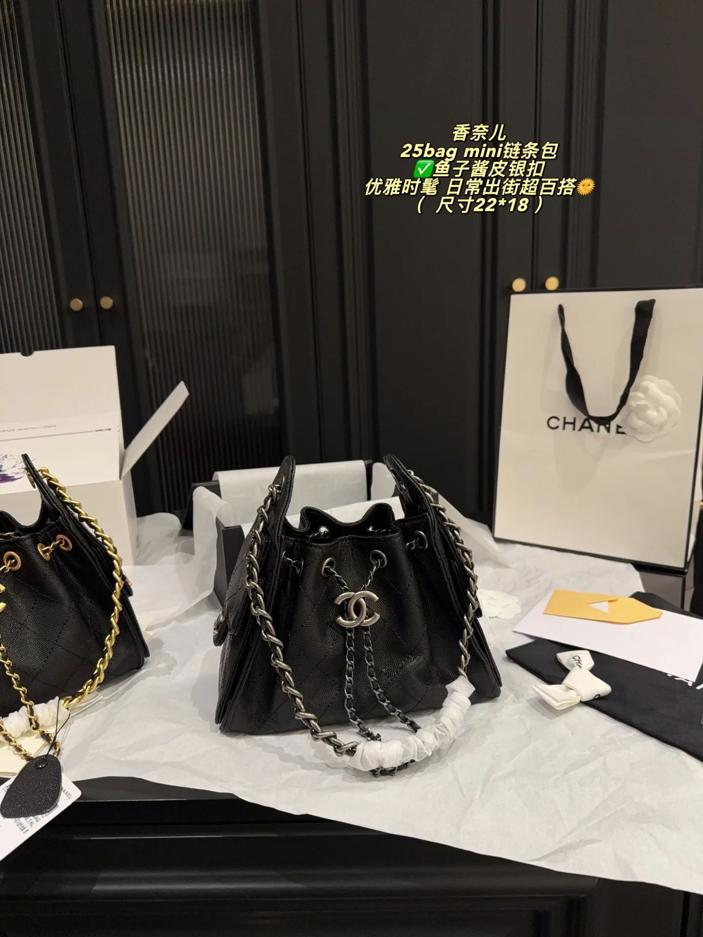Chanel Chain Bag
